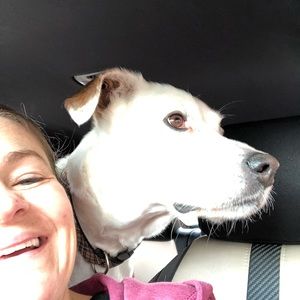 Meet your Posher, Holly